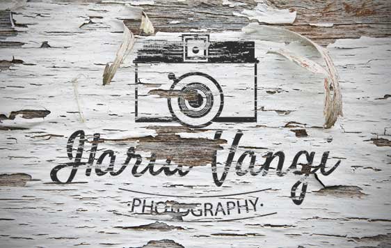 Logo Ilaria Vangi Photography Vintage